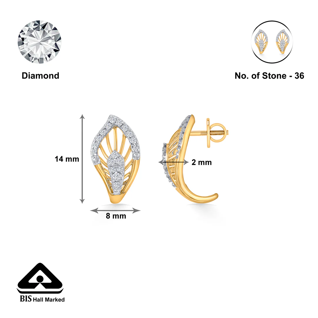 Radiant Tassel Gold Hoops & Huggies Earring For Women - Image 5